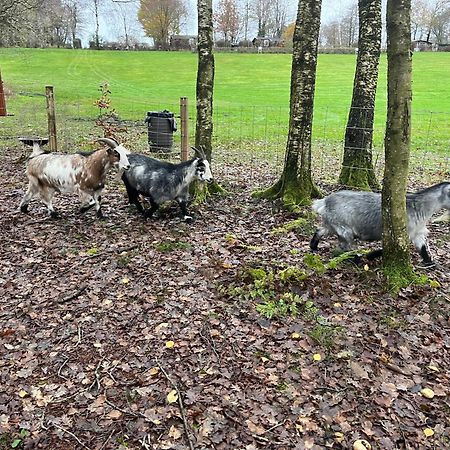 艾特夫露营小屋旅馆 艾特韦 外观 照片