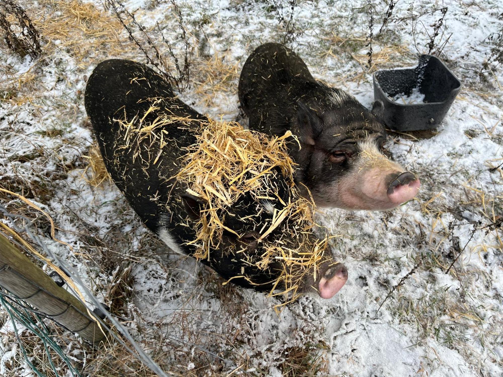 艾特夫露营小屋旅馆 艾特韦 外观 照片